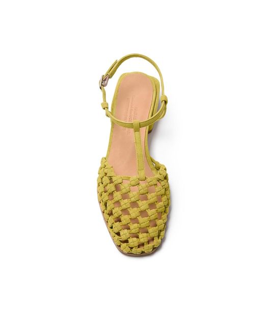 Naguisa Yellow Adra Pistachio