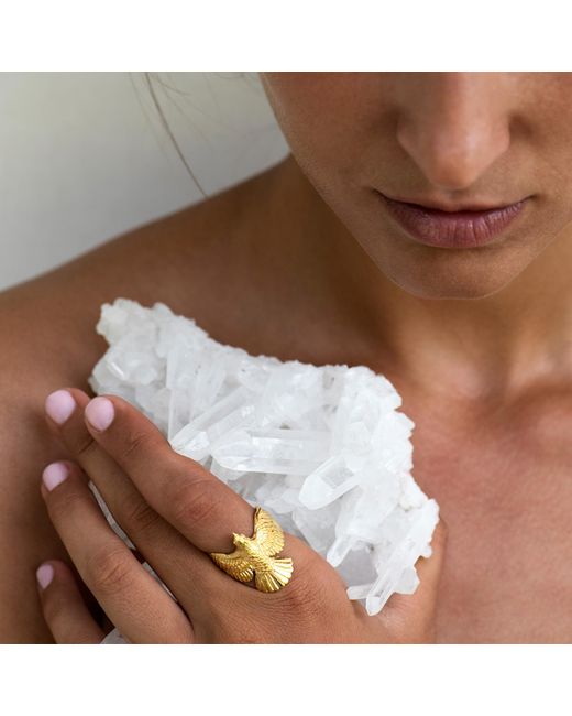 Zoe & Morgan Metallic Falcon Ring