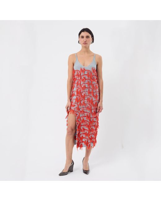 Ccy Currency Red Cotton Fringe Dress