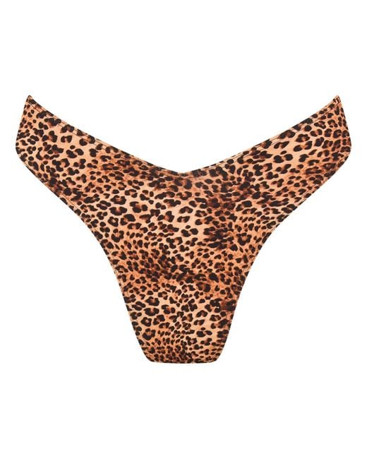 Soleil State Orange Sunseeker Leopard