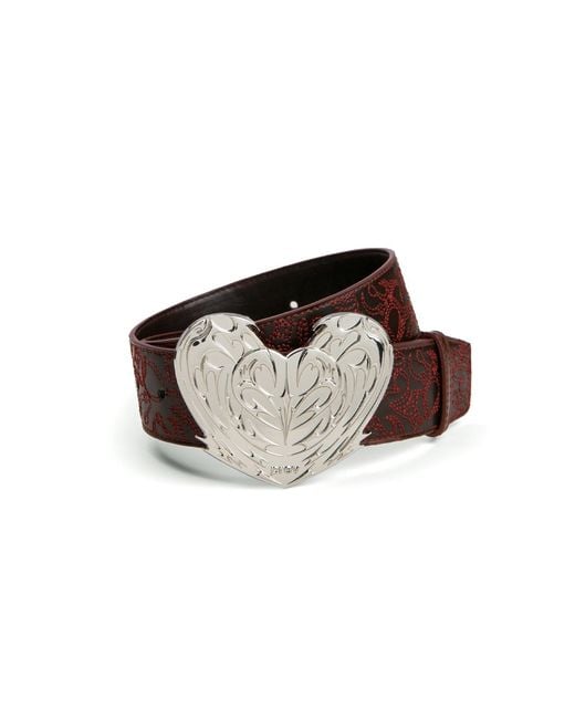 PREVU Brown Regan Belt