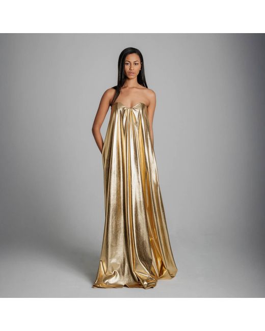 Imaatu Metallic Quiet Glam Maxi Gown – Corseted Premium Faux Leather & Hidden Pockets