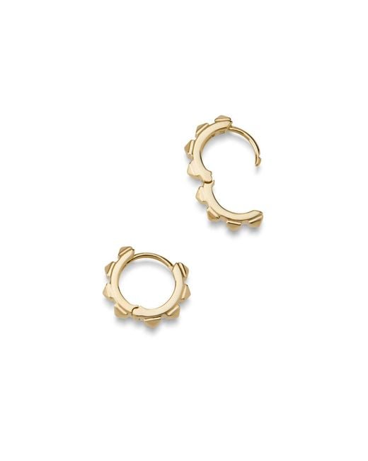 Dolcetto Designs Metallic Cestius Hoop Earring