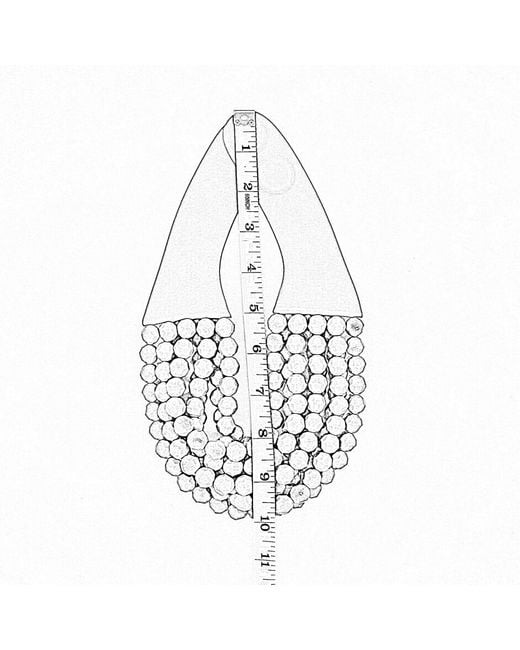 Fairchild Baldwin Gray Bella Tortoise Necklace