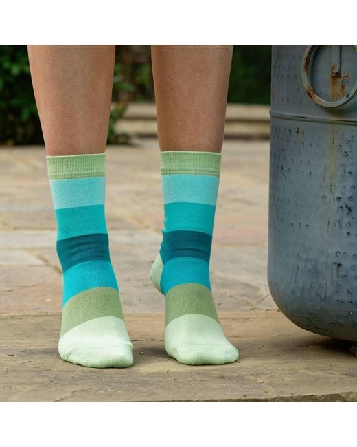 Peper Harow - Made in England Green Block Stripe Earth Luxury Crew & Trainer Socks Bundle