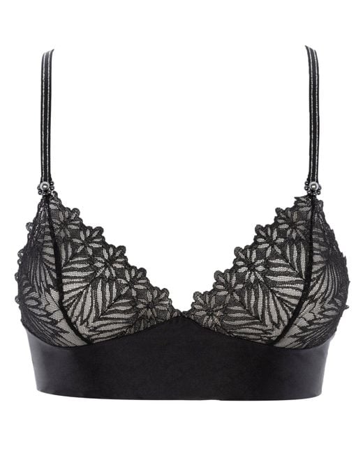 Bracli Black Destinos Dark Bra