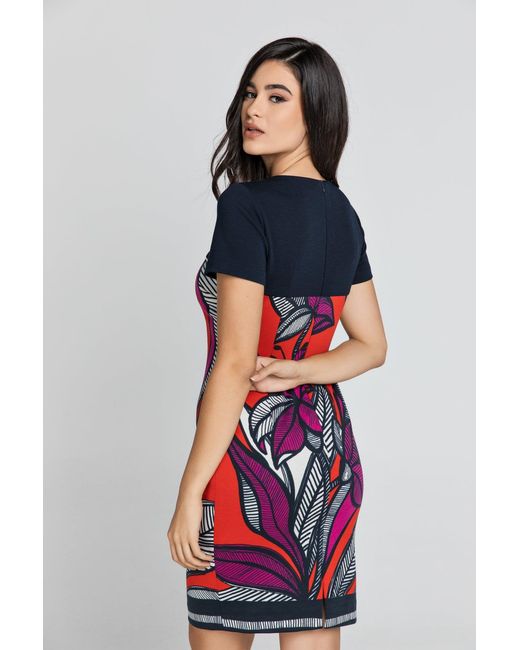 Conquista Blue Floral Dress
