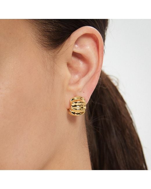 Miss Cecilia Metallic Ribbed Small Hoops