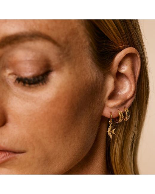 Charlotte's Web Jewellery Metallic Rania Huggie Hoop Earrings
