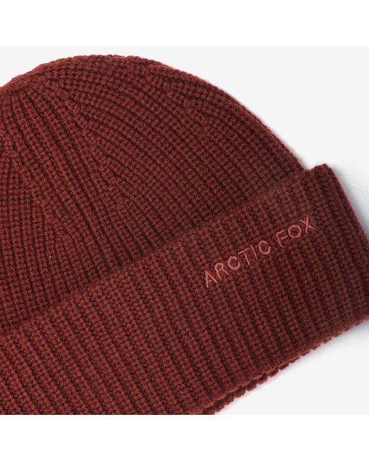 Arctic Fox & Co. Embroidered Merino Wool Beanie