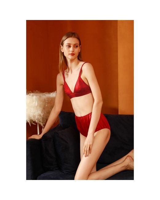 Soft Strokes Silk Red Set Of Two Pure Mulberry Silk French Cut Panties