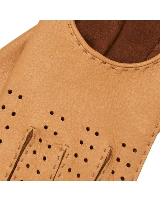 1861 Glove Manufactory Brown Monza for men