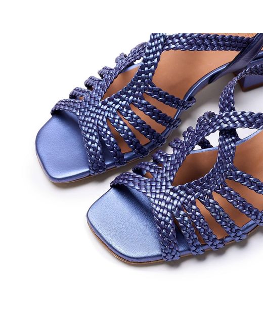 Naguisa Blue Raco Eggplant Nacar Low