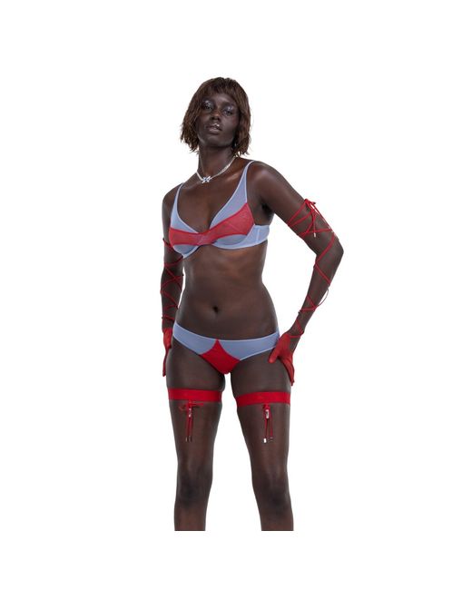 Zhilyova Red Asteria Ash Brief