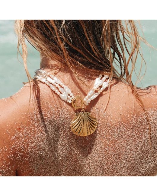 Sccollection Metallic Aqua Shell Necklace