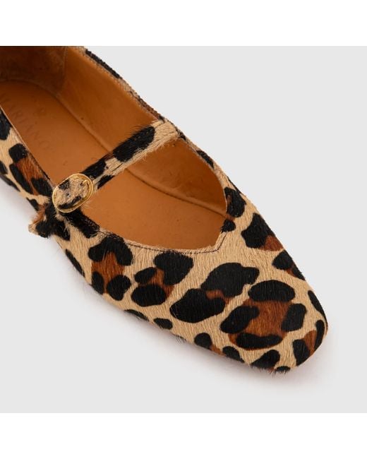 Mariano Shoes Brown Cacia Ballerina Leopard