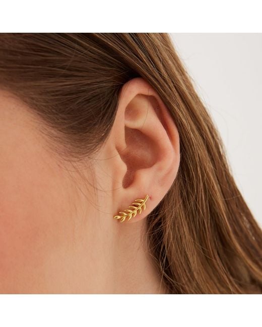 Spero London Metallic Wheat Earrings Ear Of Wheat Sterling Stud Earring
