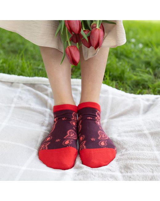 Peper Harow - Made in England Red Paisley Trainer Socks – Burgundy
