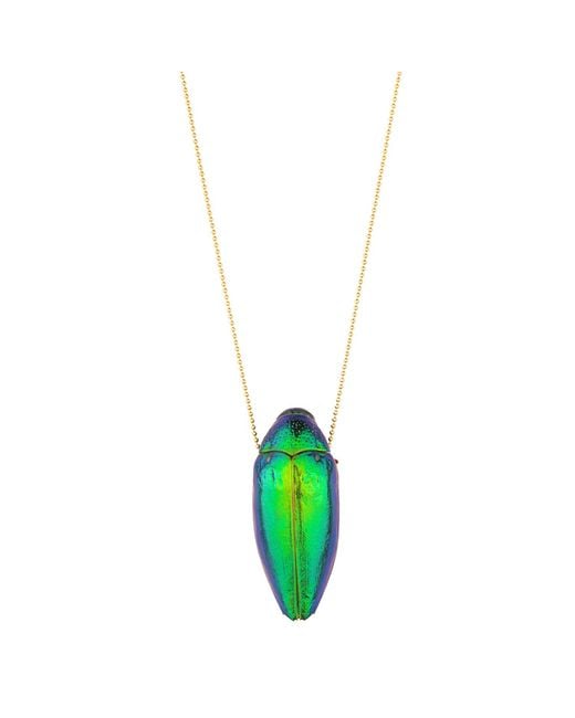 Oana Savu Metallic Scarab Necklace And Real Beetle Insect Pendant
