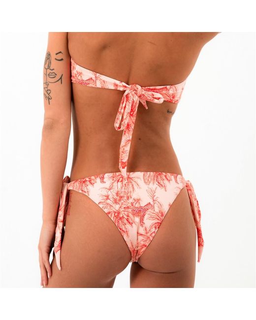Soleil State Pink Jungle Muse