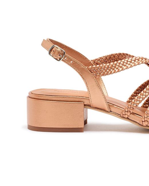 Naguisa Brown Raco Camel Nacar Low