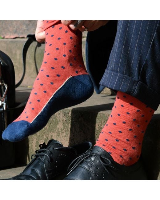 Peper Harow - Made in England Red Pin Polka Luxury Crew & Denim Trainer Socks Bundle for men