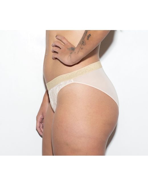 Bott Lingerie Black Neutrals Crush Lace Brief – Champagne
