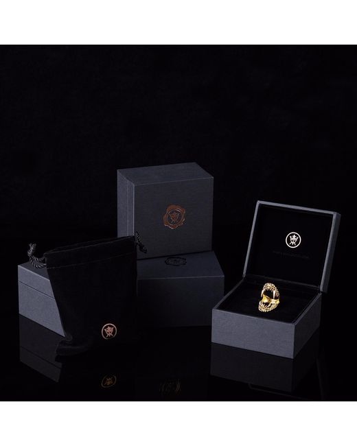 Kasun Metallic Croc Triple Ear Cuff