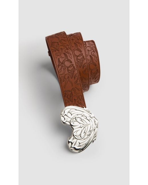 PREVU Brown Regan Belt