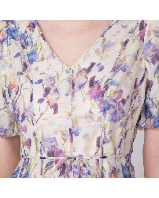 Smart and Joy Multicolor Neutrals Flower Print Fit-And-Flare Tea Organza Dress