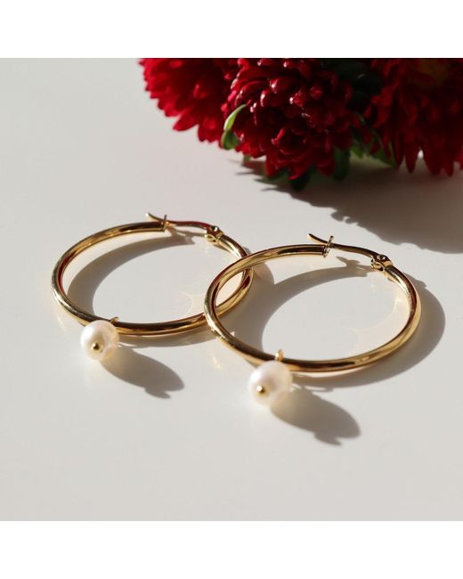 FV Jewellery Metallic Steel Me Round Hoop & Pearl Earrings