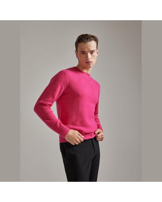 Salts Pink Lofty Knit Crew Neck Sweater
