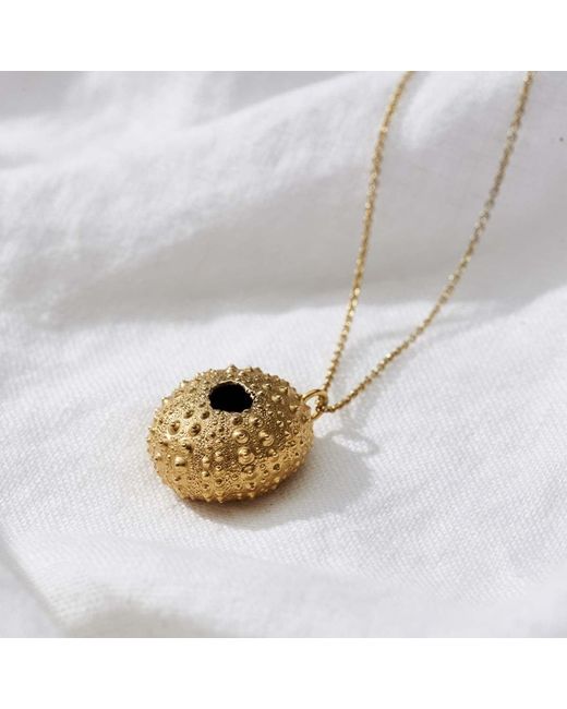 Posh Totty Designs Metallic Sea Urchin Necklace for men