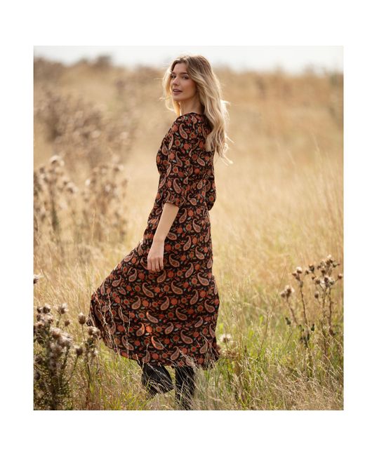 At Last Brown Belgravia Midi Dress Chocolate