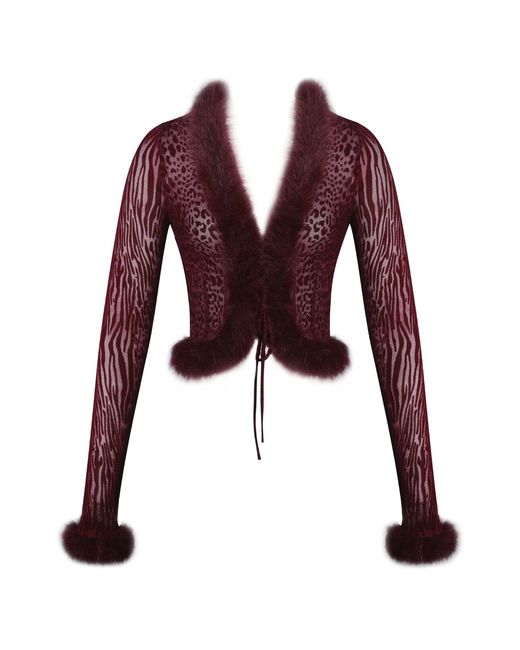Miss Circle New York Red Hali Burgundy Animal Print Burnout Velvet Fur Trim Top