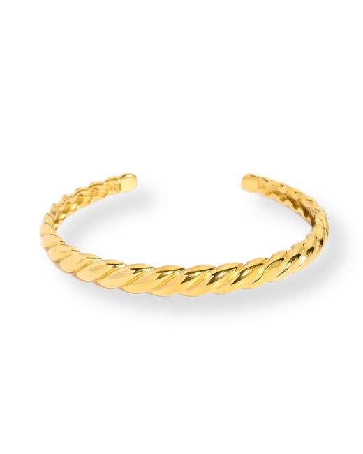Divine Aria Metallic Twisted Indian Bangle Tarnish Free