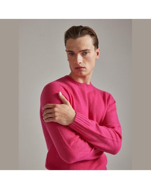 Salts Pink Lofty Knit Crew Neck Sweater