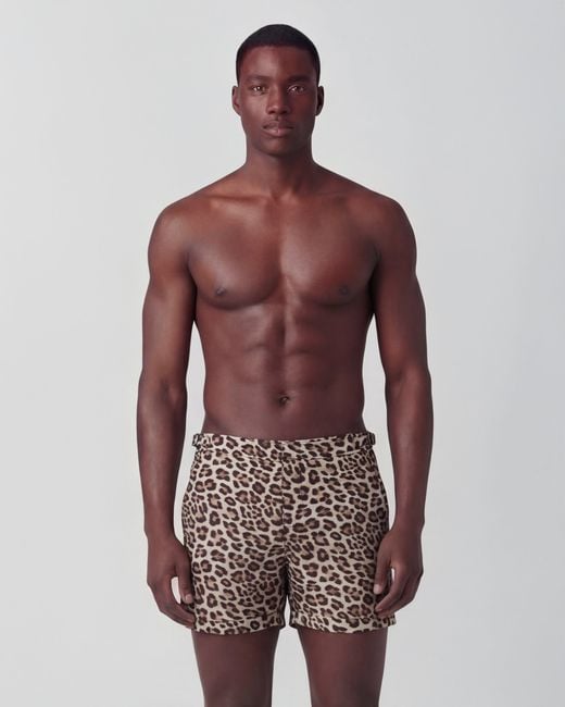 Lords of Harlech Black Pool Leopard Tailored Swim Short for men