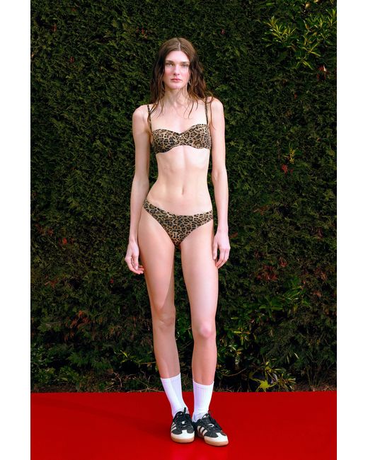 Pcfg Brown The Solar Reflections Balconette Bikini Top