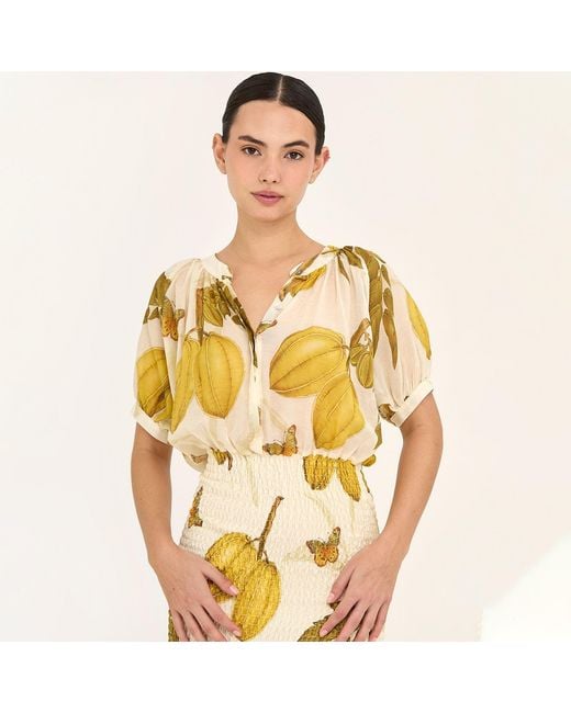 Aguaclara Metallic Fruits De L'Est Maxi Dress