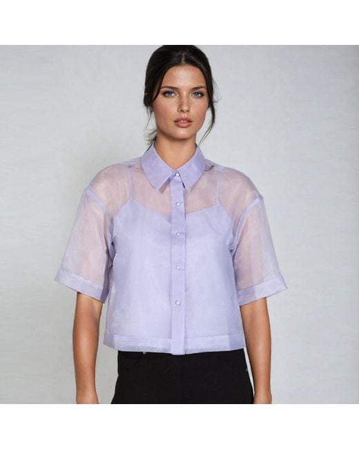 Smart and Joy Purple Short Sleeves Flaps Organza Shirt -light Blue