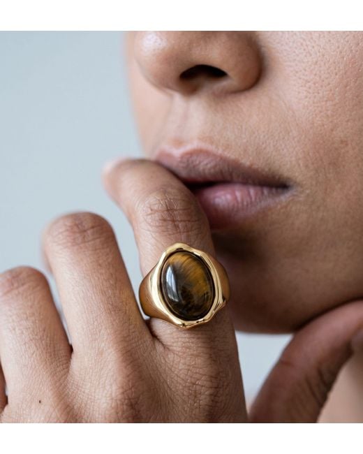 Uchi and Soto Metallic Nekomeishi Tigers Eye Ring