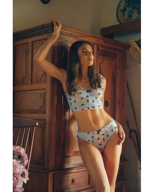 Wild Lovers Blue Indra Brief