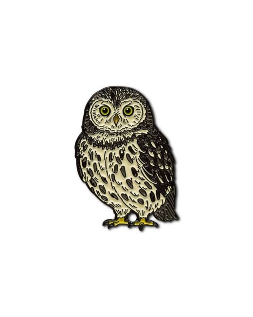 Make Heads Turn Green Enamel Pin Pygmy Owl