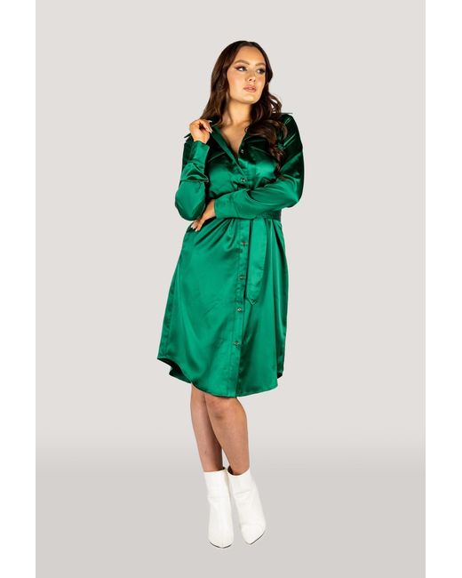 Why Mary Green Jackie Satin Trench Coat Dress