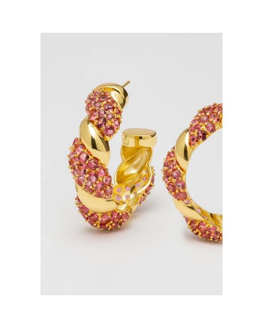 Lavani Jewels Metallic Fuchsia & Gold Plated Paramount Hoops