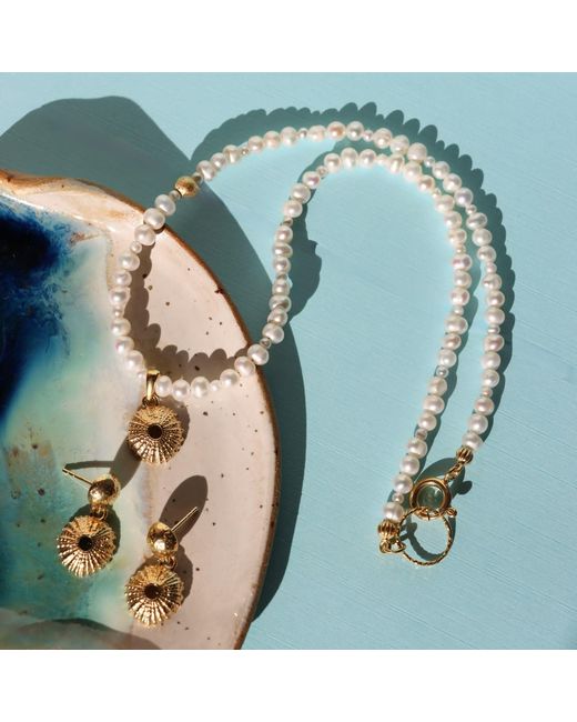 Larsuu Metallic Sea Halo Necklace