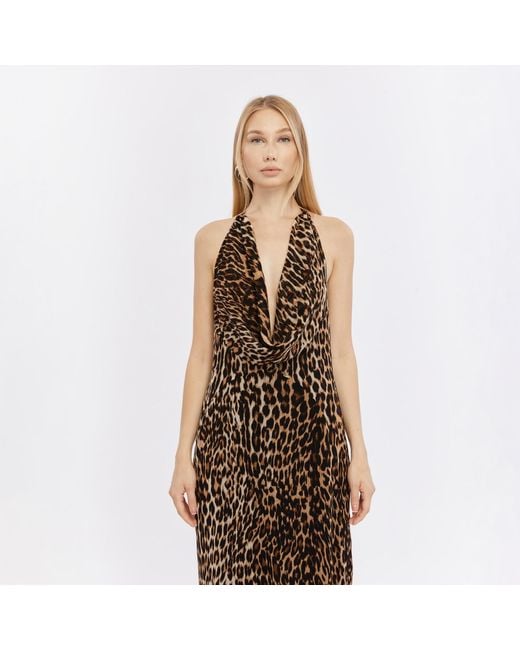 Herfetch Brown Maxi Exotic Dress