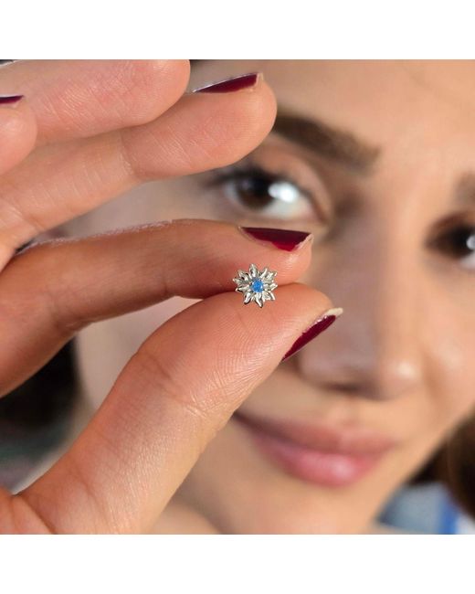 Harfi Blue December Birthstone Holly Birthflower Sterling Stud Earrings