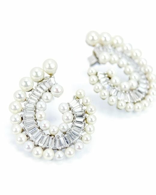 Smuccii White Nautilus